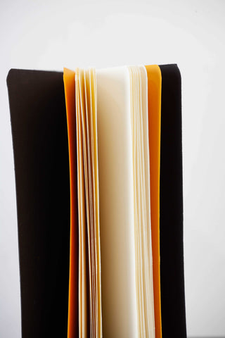 Black Field Singer Notebook N°2  - Ofer